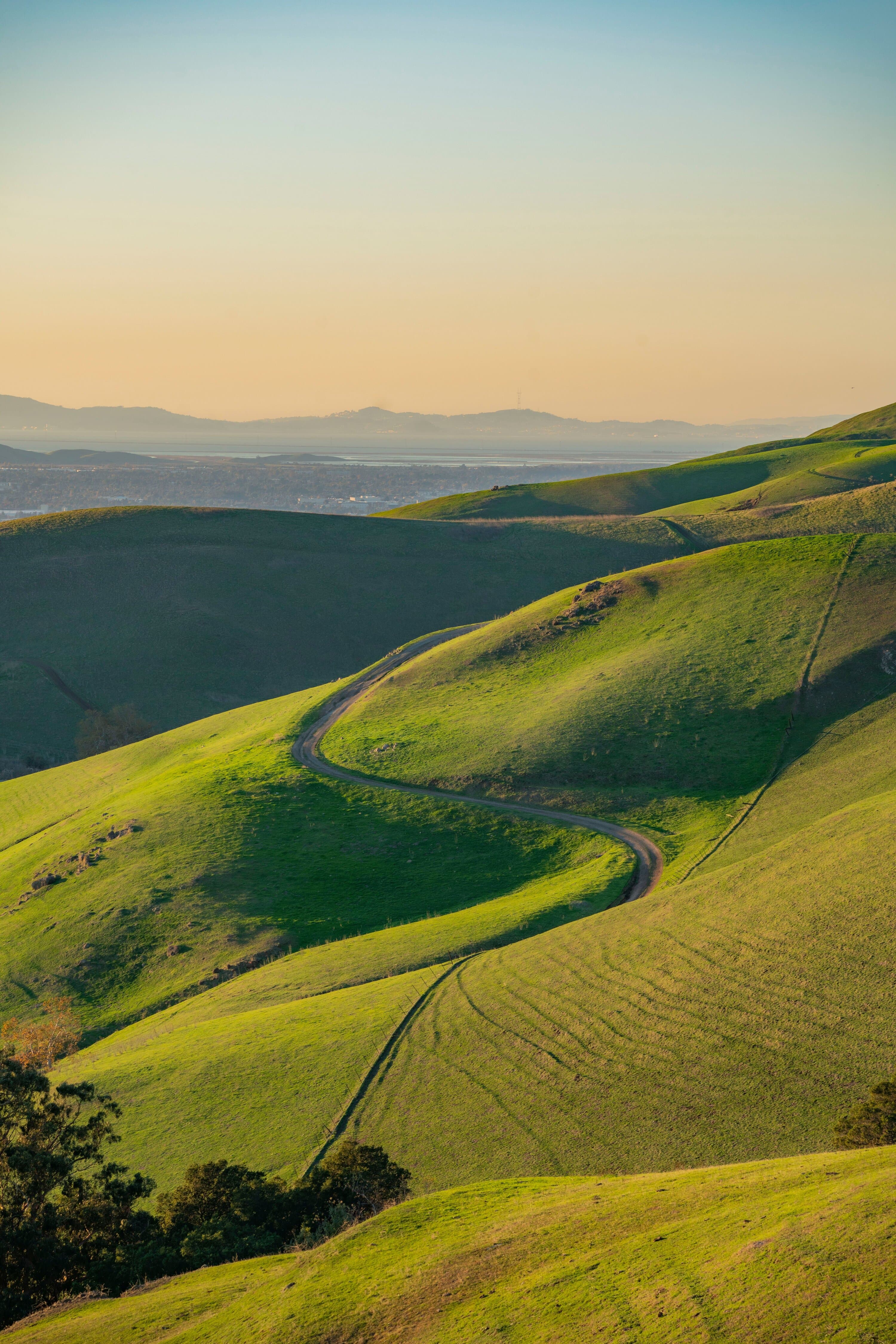 Rolling green hills in the last light of evening